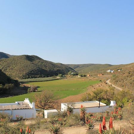 Villa Matjiesvlei Guestfarm Calitzdorp Esterno foto
