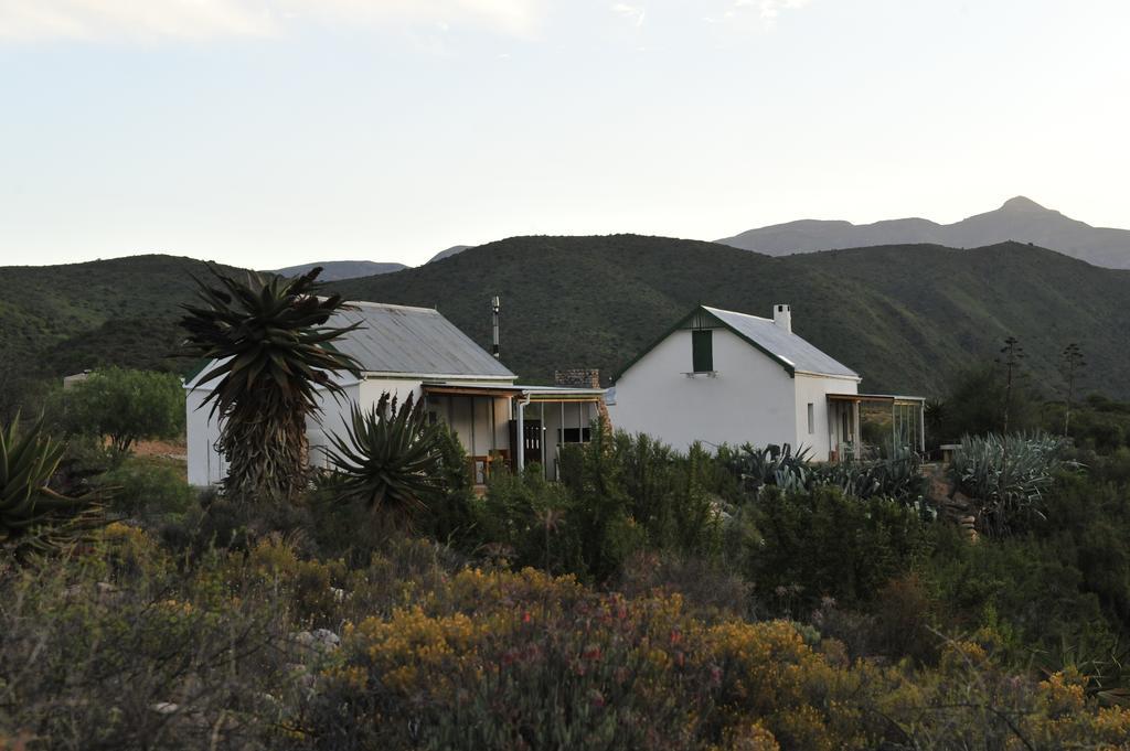 Villa Matjiesvlei Guestfarm Calitzdorp Esterno foto