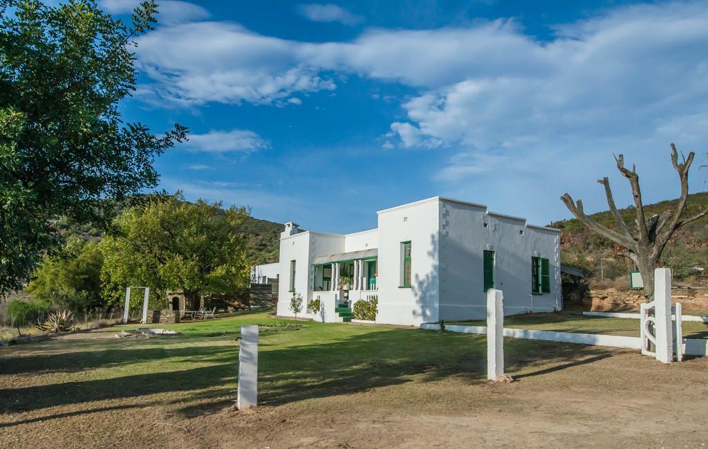 Villa Matjiesvlei Guestfarm Calitzdorp Esterno foto