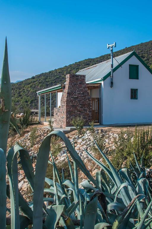 Villa Matjiesvlei Guestfarm Calitzdorp Esterno foto
